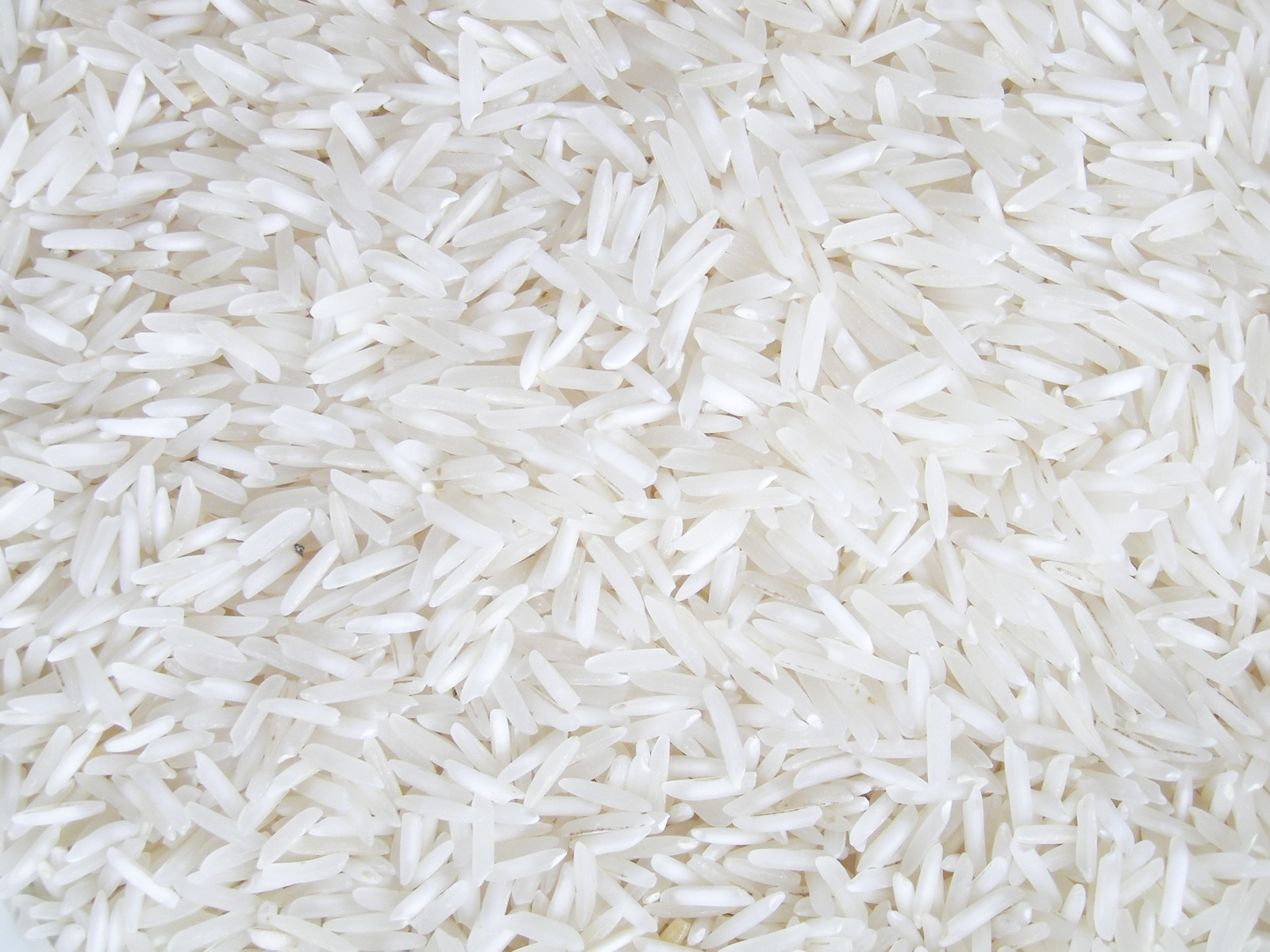 conheça-os-principais-tipos-de-arroz-e-saiba-qual-escolher