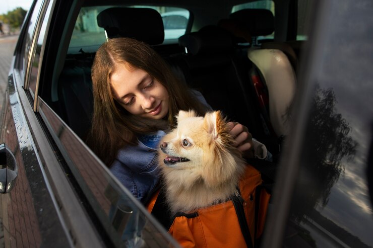 Taxi dog: Será que vale mesmo a pena usar em SBC?