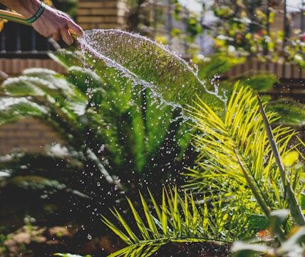Caminhão pipa em Caxambu