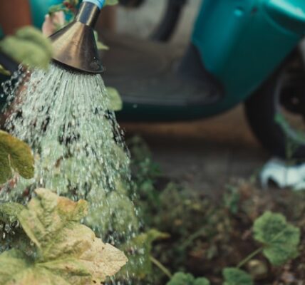 Caminhão pipa em Lambari